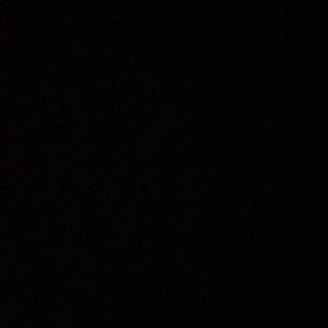 Meet your Posher, Isabella